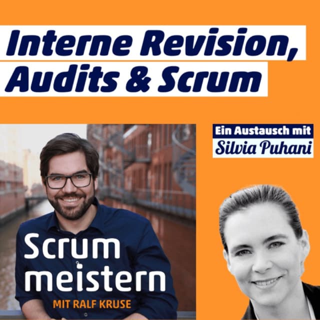 Interne Revision, Audits und Scrum